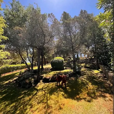 Villa Belvedere Su Baja Sardinia *