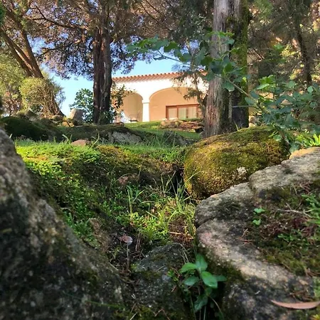 Belvedere Su Baja Sardinia Villa